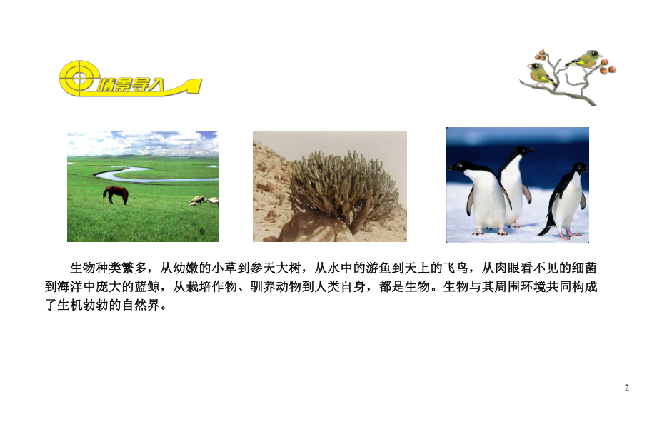 第二章-认识生物的多样性课件.ppt_第2页