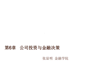 第6章公司投资与金融决策课件.ppt