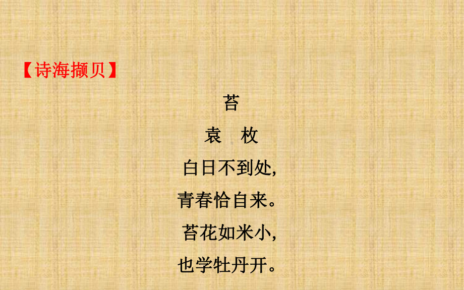 《说书人》课件.ppt_第2页