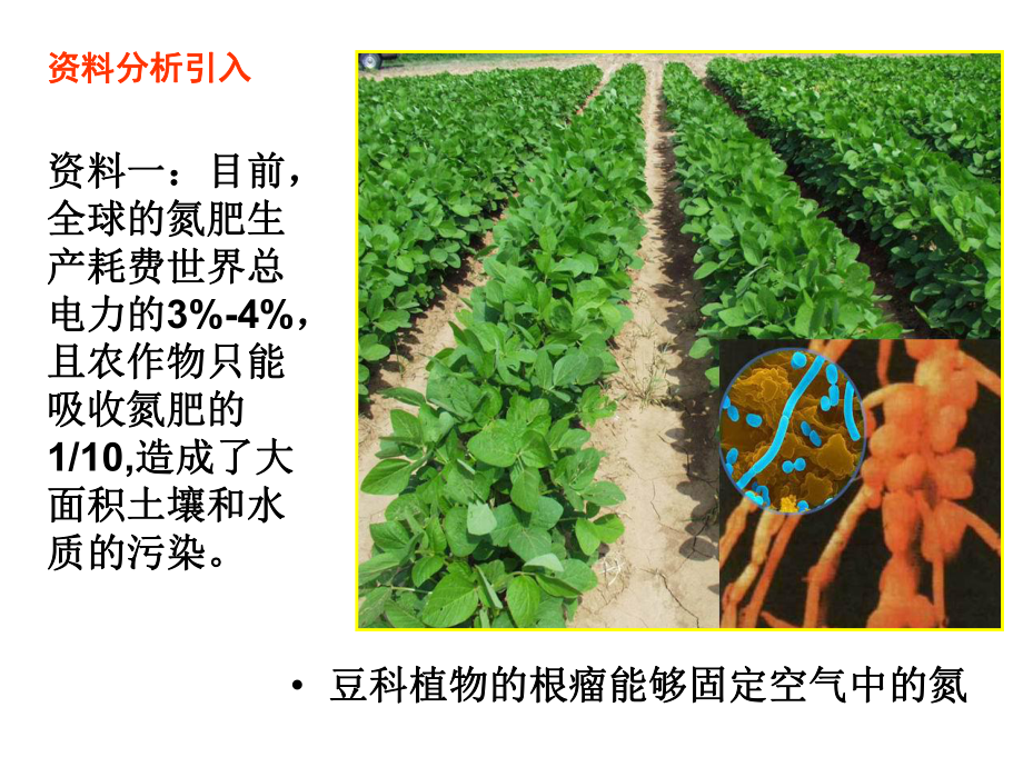 第二节基因工程及其应用课件.ppt_第3页