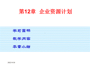 第12章企业资源计划课件.ppt