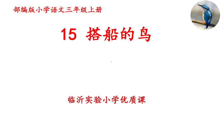 《搭船的鸟》临沂实验小学优质课课件.pptx_第1页