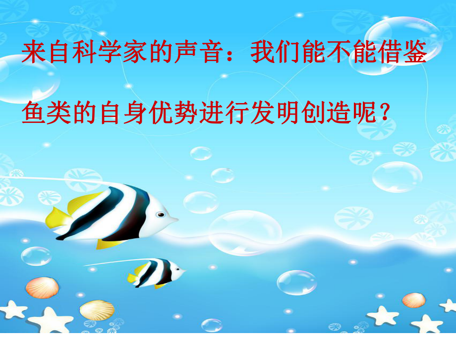 《鱼儿的启示》课件.ppt_第3页