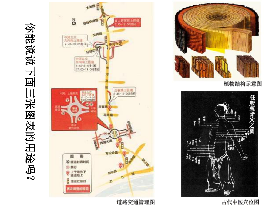 《手绘图表》课件1.ppt_第2页