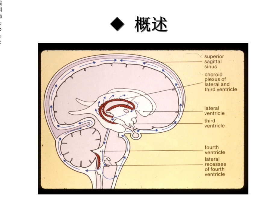 第十章颅脑疾病病人的护理(图片多)课件.ppt_第3页