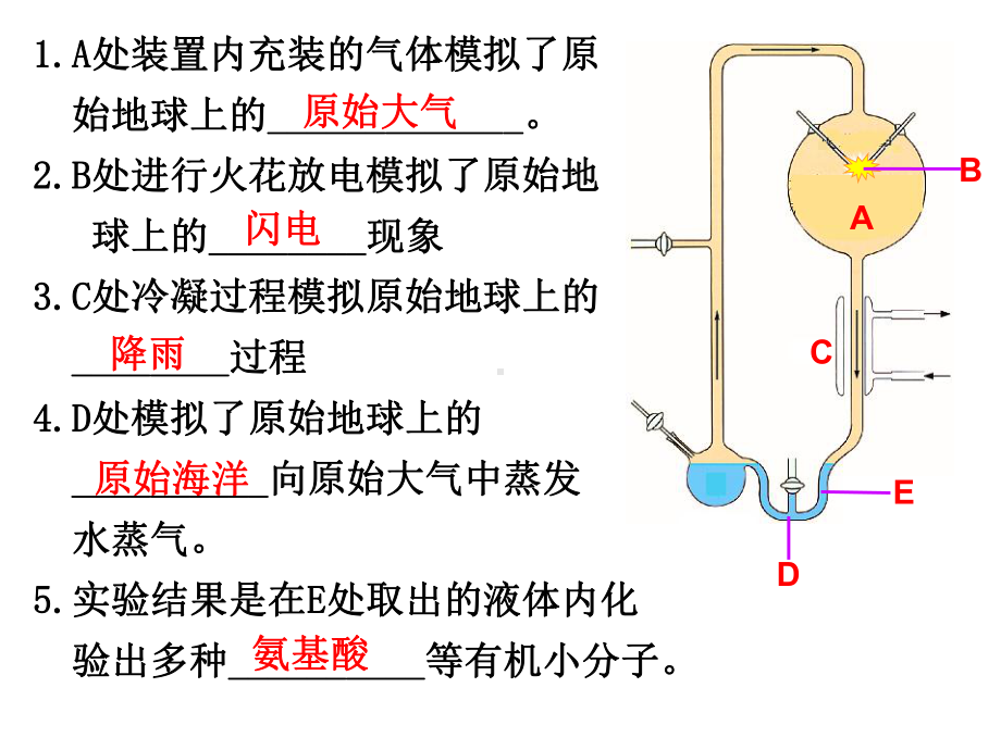 第十六章第二节生物进化的历程课件20212022学年苏教版八年级上册.ppt_第1页