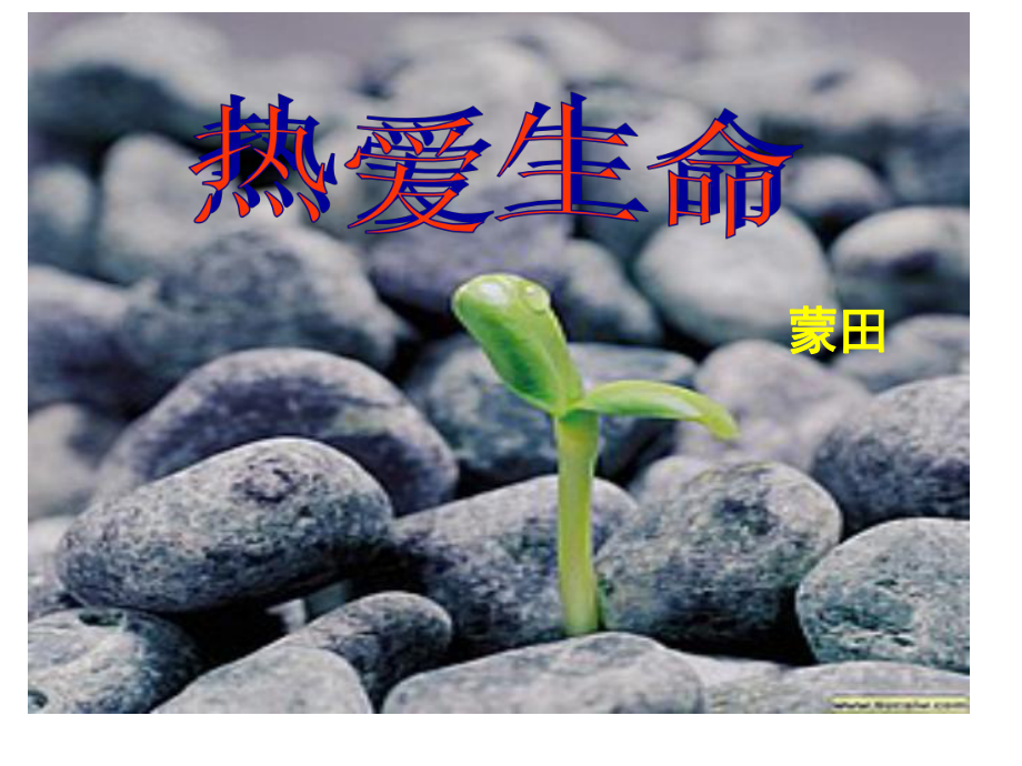 《短文三篇》教学课件2.ppt_第2页