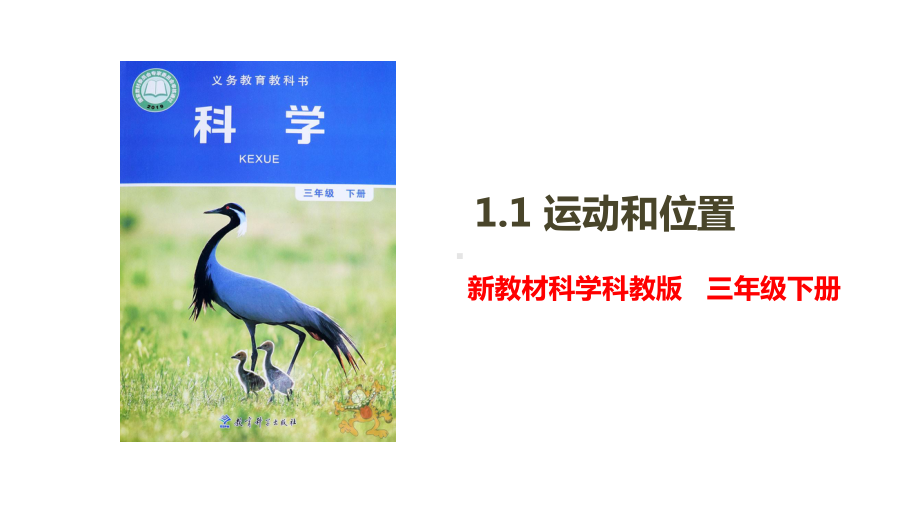 （新教材）教科版科学三年级下册11运动和位置课件.ppt_第1页