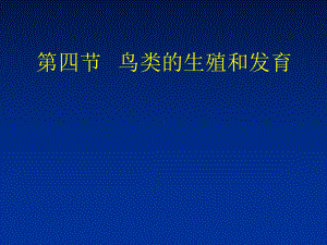 鸟类的生殖和发育课件1人教版.ppt