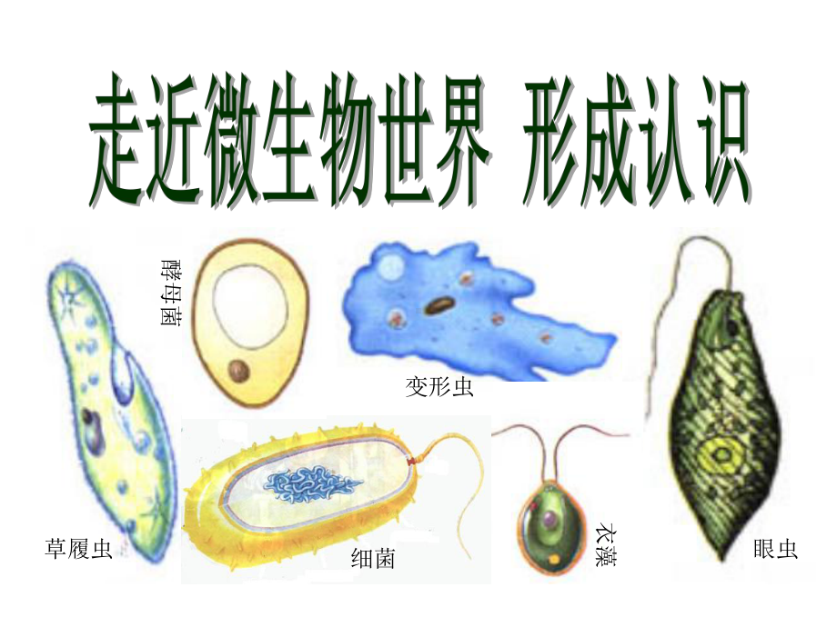 《走近微生物世界形成认识》课件1.ppt_第1页