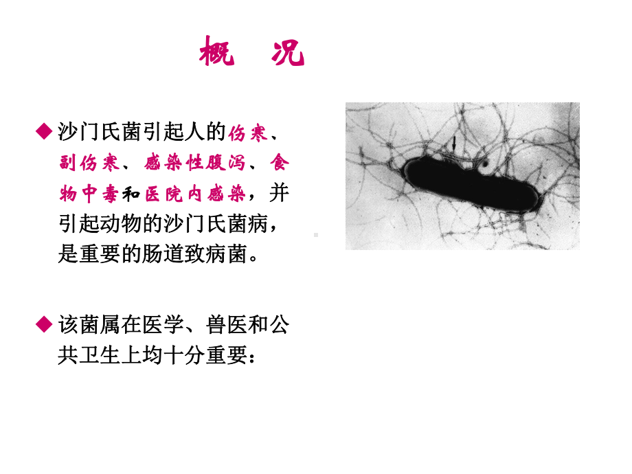 第一节沙门氏菌检验课件.ppt_第3页