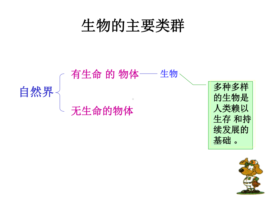 《丰富多彩的生物世界》课件2.ppt_第2页