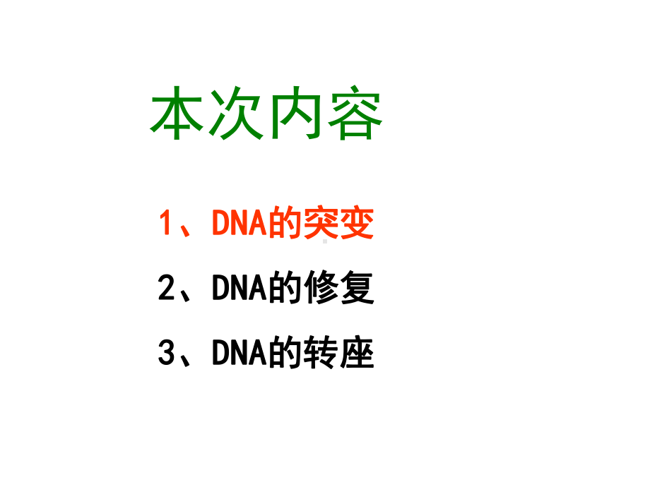 第3章DNA的突变和修复课件.ppt_第2页