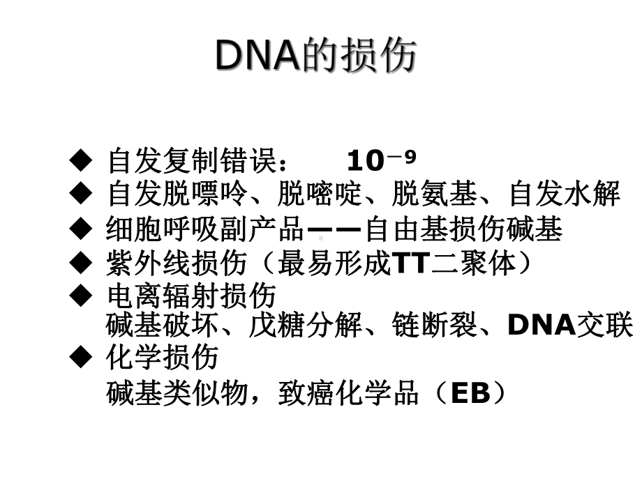 第3章DNA的突变和修复课件.ppt_第3页