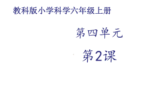 《校园生物分布图》课件.ppt