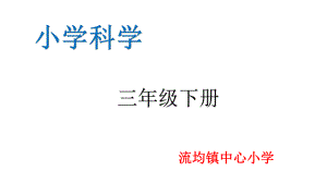 三年级科学下册课件11运动和位置教科版(共18张).pptx