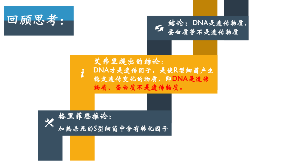 （人教版新教材）《DNA的结构》课件1.pptx_第2页