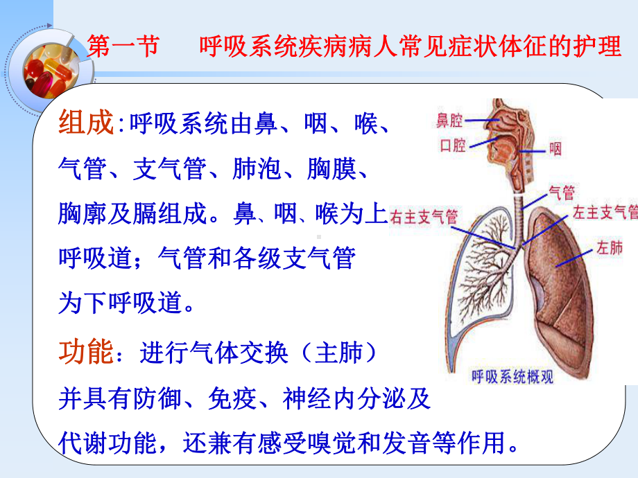 第一节呼吸系统疾病病人常见症状体征的护理课件.ppt_第3页