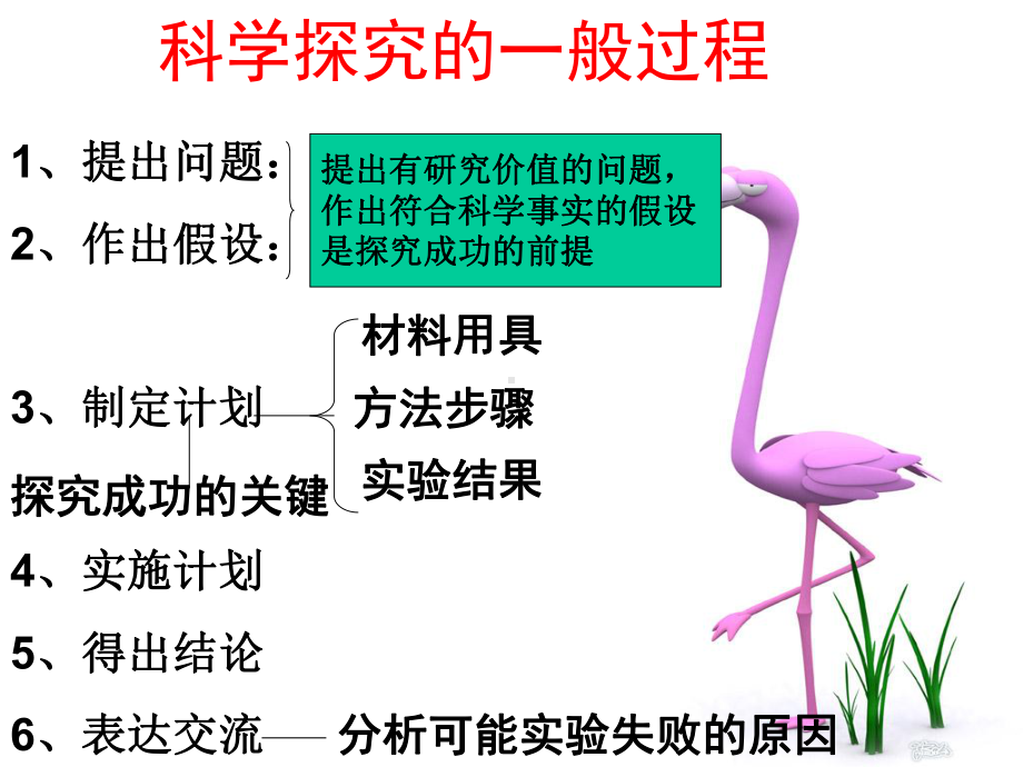 （浙教版）七年级科学上册科学探究的一般过程课件.ppt_第2页