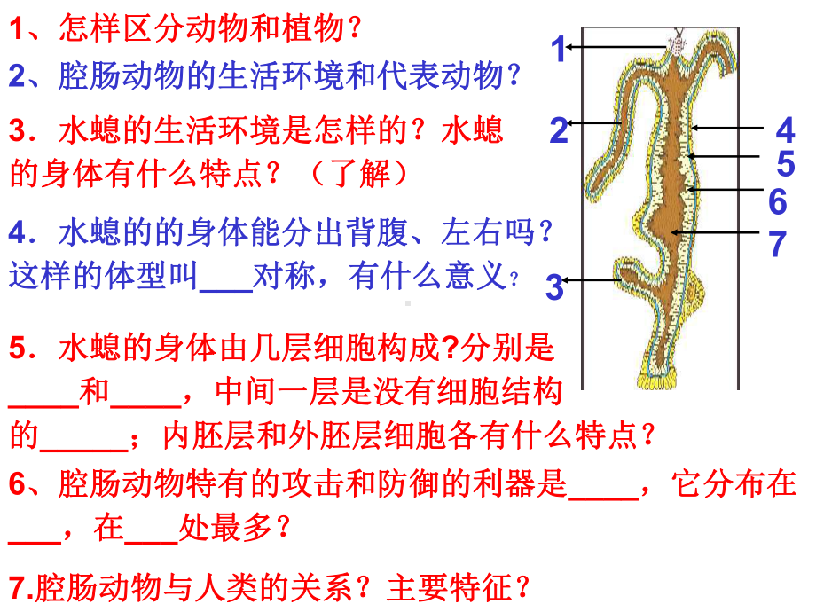 鲁科版生物八年级中考复习：第七单元第一章动物的主要类群复习课件.pptx_第2页