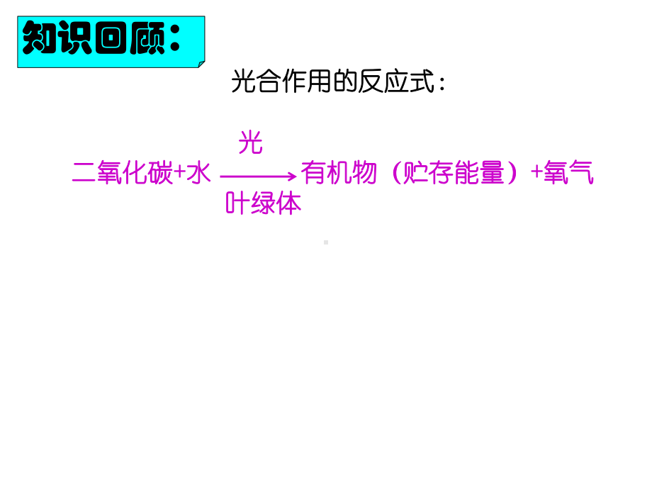 第四节绿色植物的呼吸作用(共23张)课件.ppt_第1页