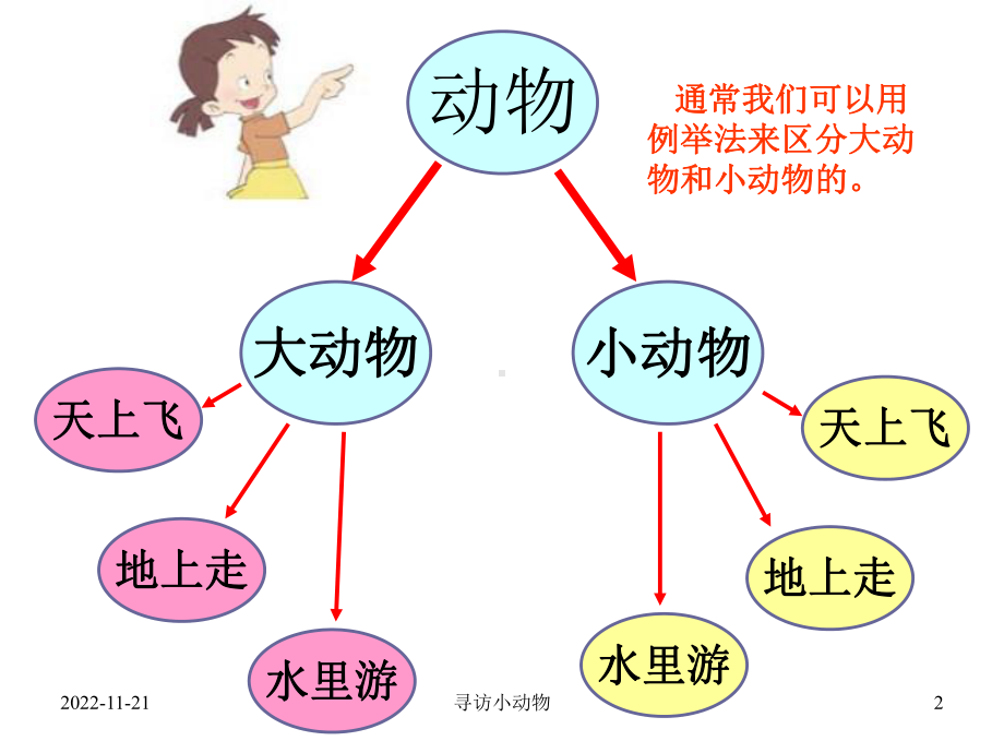 （教科版）科学三年级上册《寻访小动物》课件.ppt_第2页