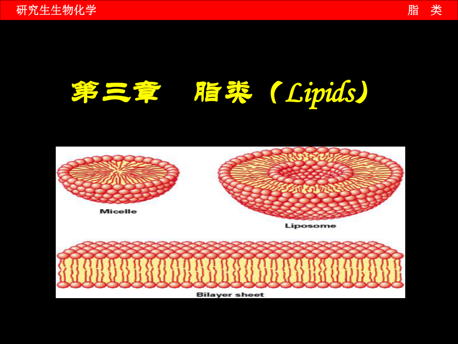 第三章脂类课件.ppt_第1页