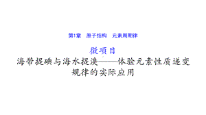 鲁科版高中化学20版必修二微项目1(海带提碘与海水提溴-体验元素性质递变规律的实际应用)课件.pptx