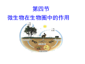 七年级生物上册第二单元第三章第四节微生物在生物圈中课件.ppt