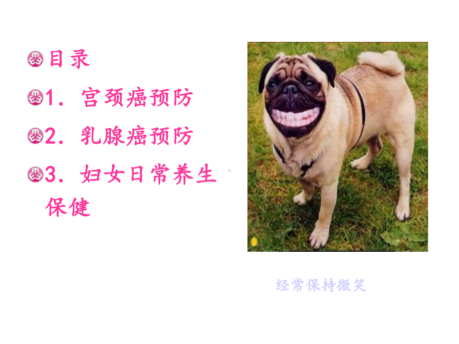 两癌防治知识课件.ppt_第3页