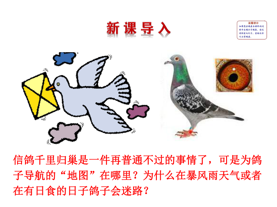 《磁现象磁场》课件2.ppt_第2页