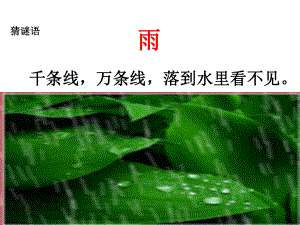 《雨点儿》优秀课件.ppt