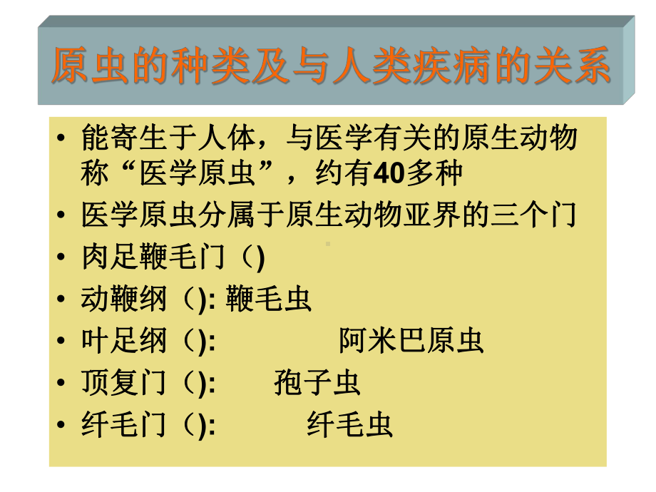 第八章叶足虫(溶)课件.ppt_第3页