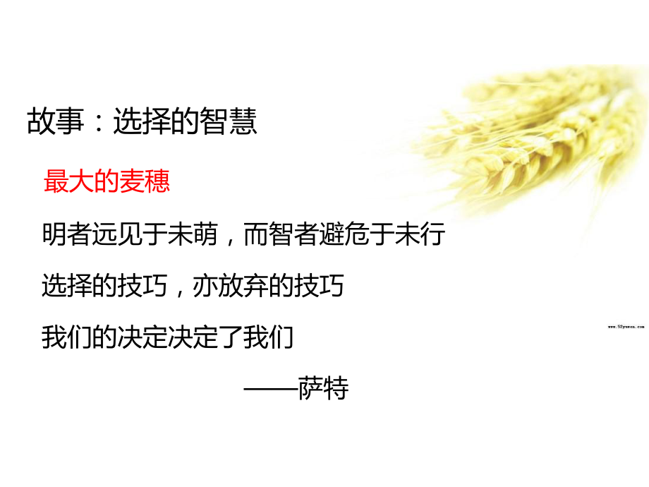 第三讲职业生涯决策课件.ppt_第3页