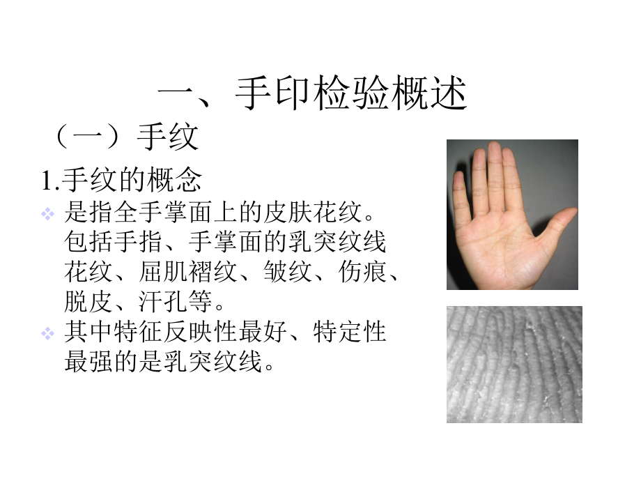 第二节手印检验课件.ppt_第2页