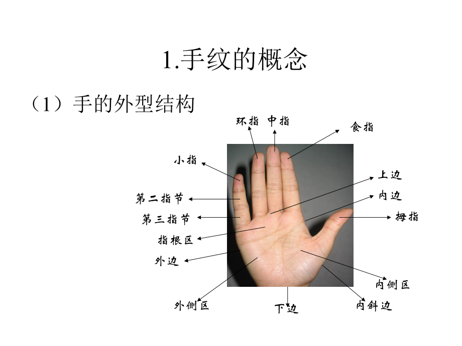 第二节手印检验课件.ppt_第3页