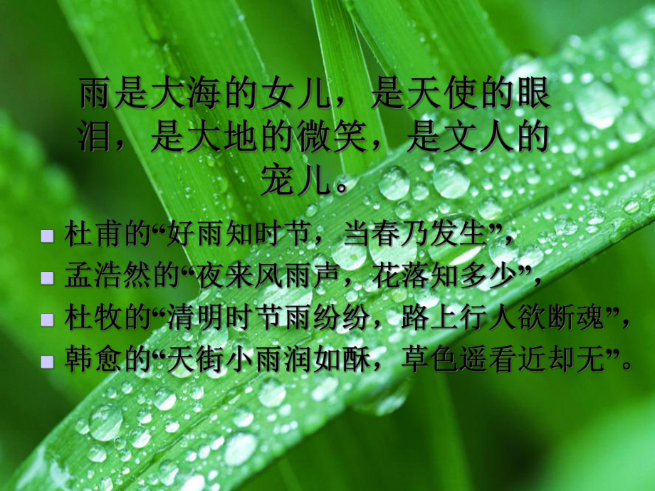 《雨的四季》市级公开课课件.ppt_第1页