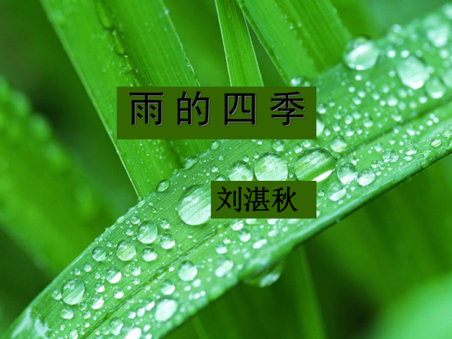 《雨的四季》市级公开课课件.ppt_第3页