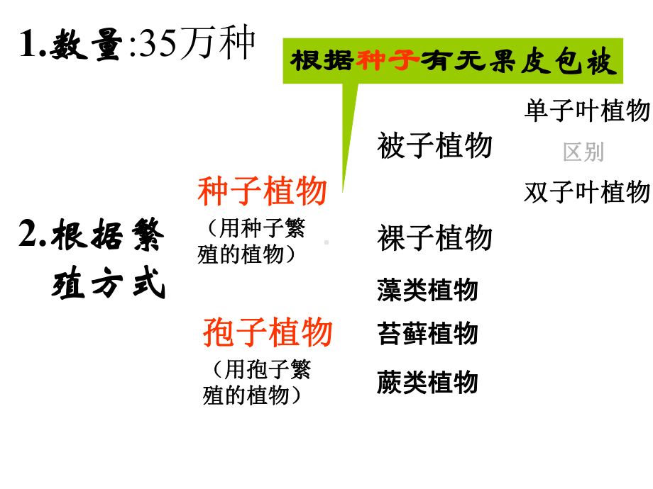 七年级科学上册22《植物的主要类群》(第2课时)课件.ppt_第3页