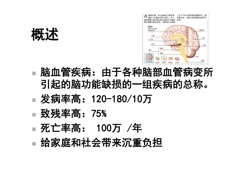 第五节脑血管疾病24课件.ppt_第2页