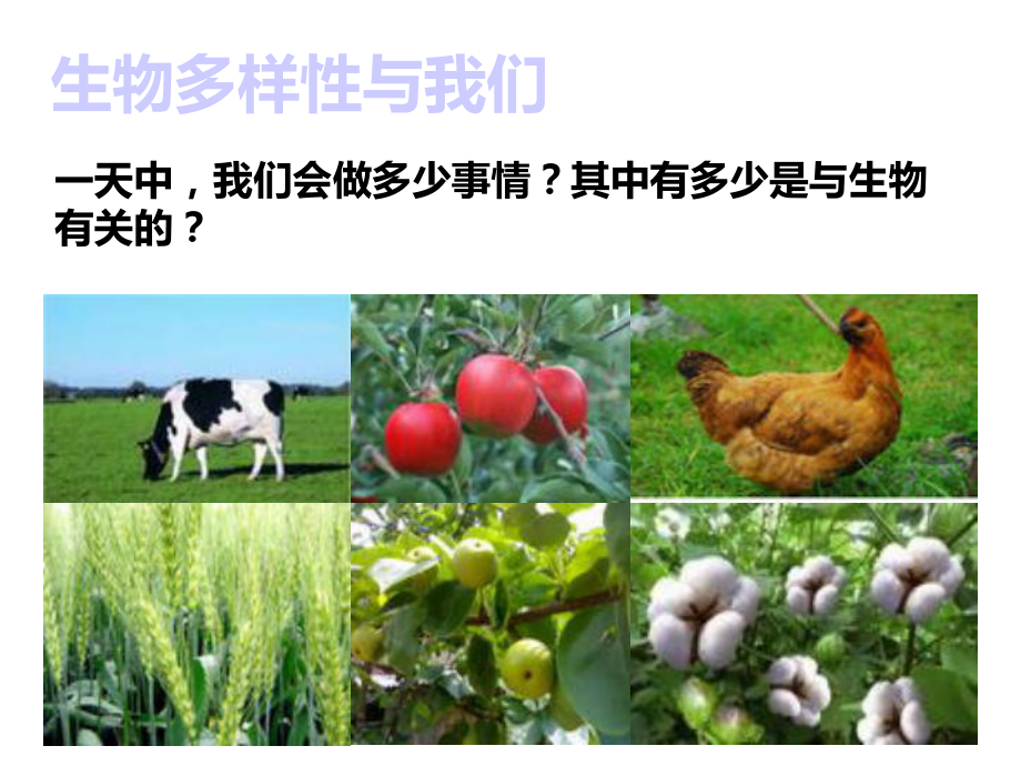 （教科版）科学六年级上册48《生物多样性的意义》课件2.ppt_第3页