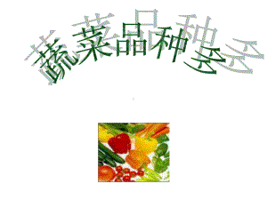 中班科学《认识蔬菜-蔬菜品种多》课件.ppt