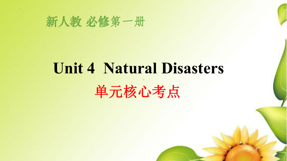 Unit 4Natural Disasters 单元核心考点(ppt课件)-2022新人教版（2019）《高中英语》必修第一册.pptx_第1页