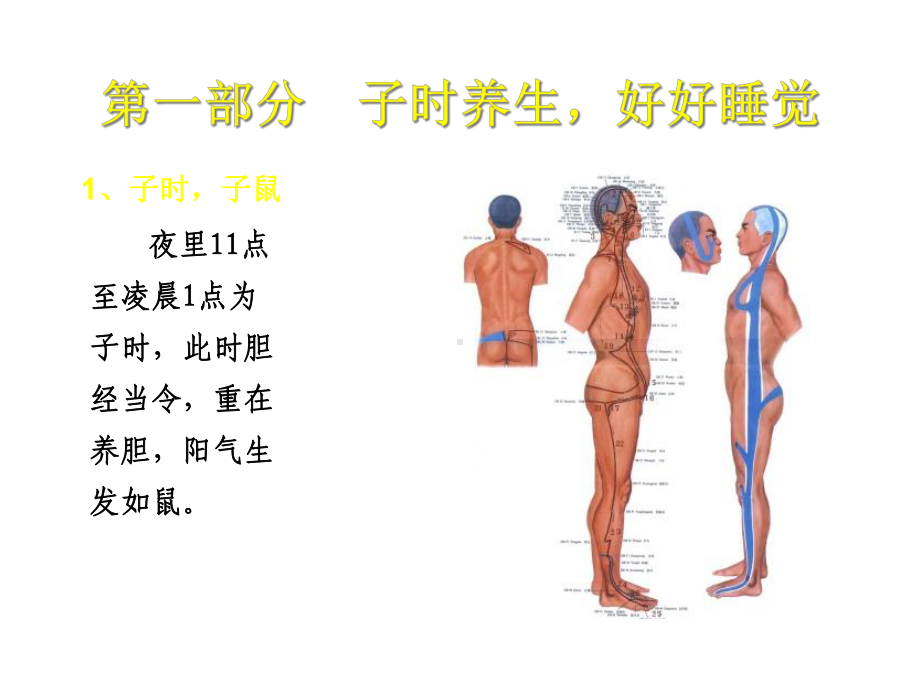 中医养生系列讲座解读子午流注课件.ppt_第1页