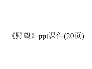 《野望》课件(20张)-2.ppt