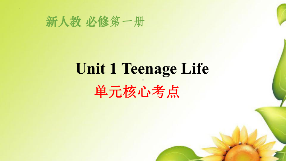 2022新人教版（2019）《高中英语》必修第一册Unit 1 Teenage life 单元核心考点复习ppt课件.pptx_第1页