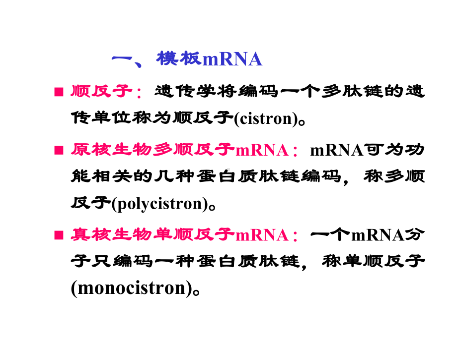 第12章蛋白质生物合成翻译课件.ppt_第3页