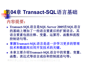 第04章TransactSQL语言基础课件.ppt