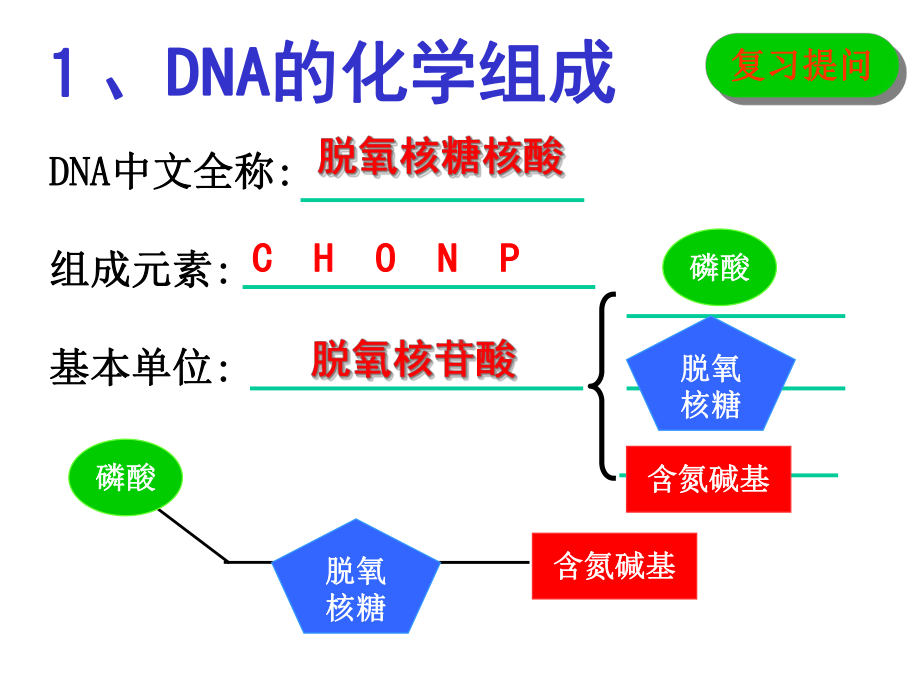 第二节DNA分子的结构课件.ppt_第3页