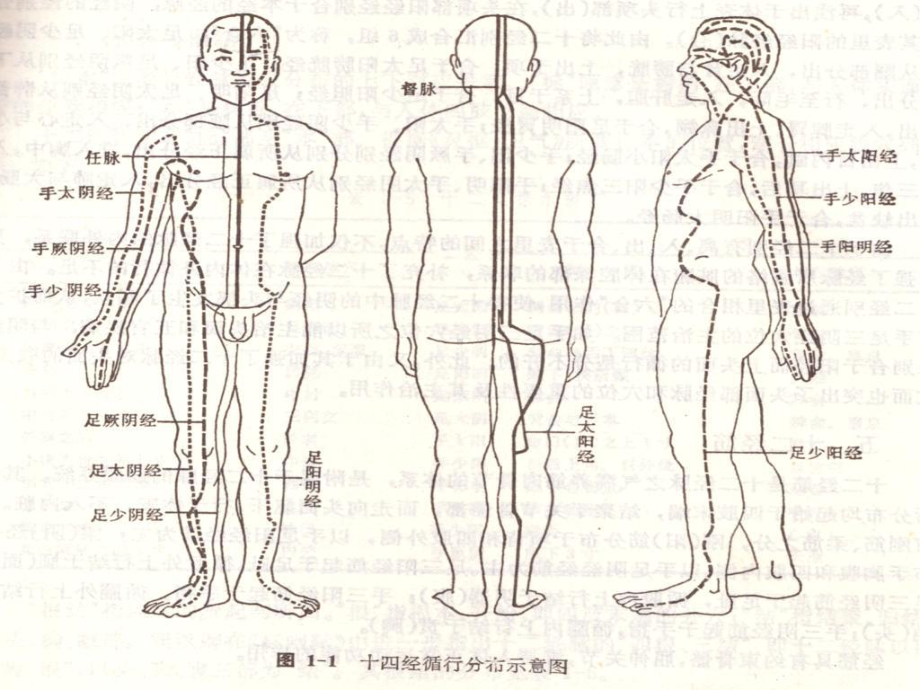 第十四章督脉任脉课件.ppt_第3页